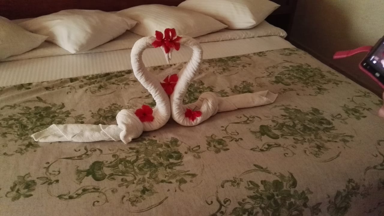 Zimmer Ghazala Gardens