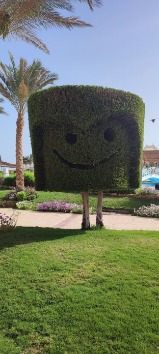 Gartenanlage Malikia Resort Abu Dabbab