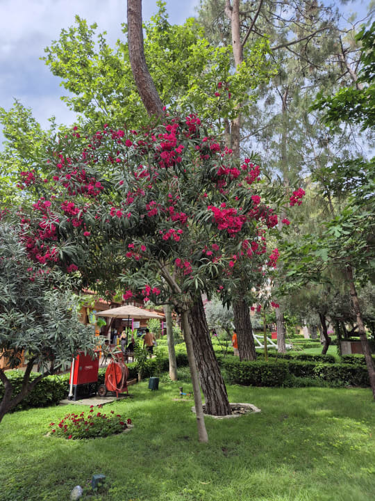 Gartenanlage Ulusoy Kemer Holiday Club