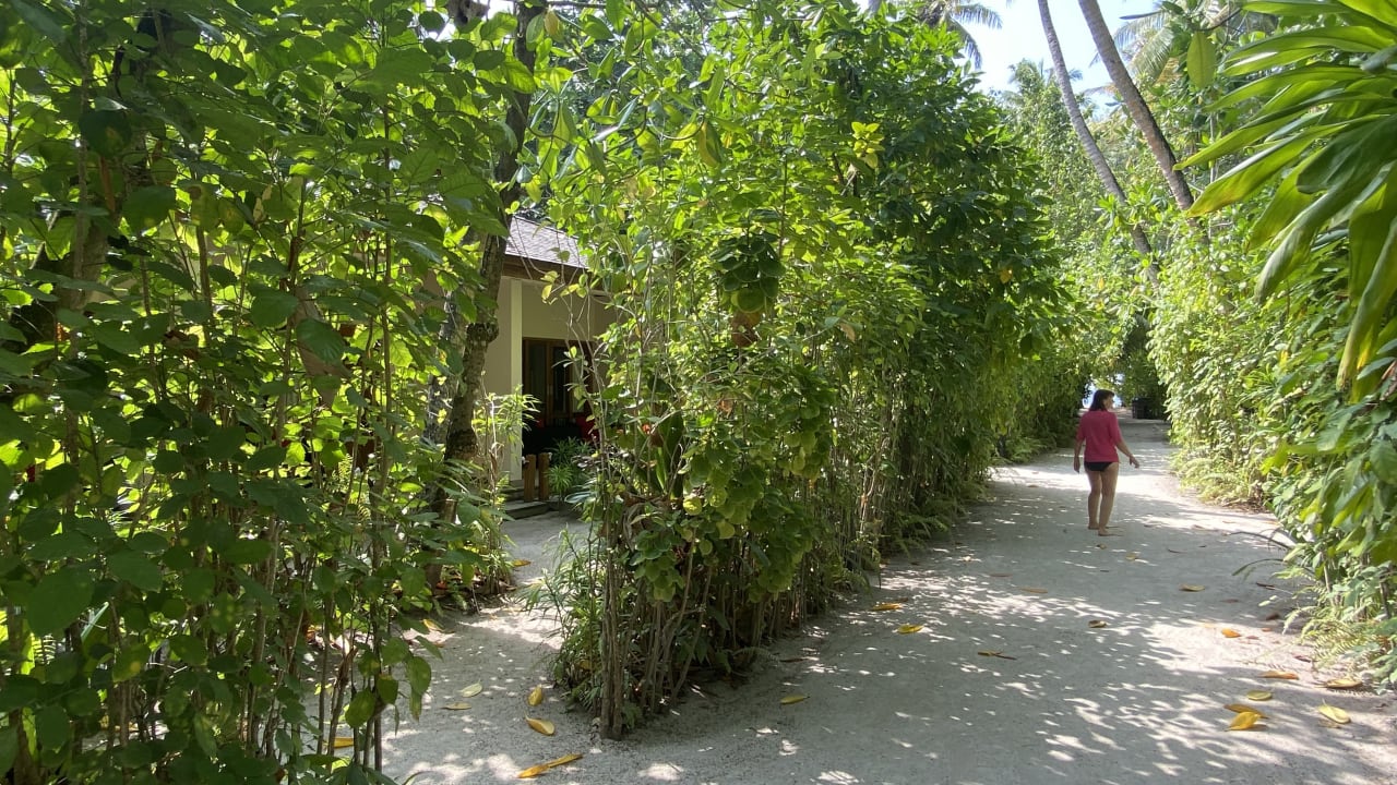 Gartenanlage Vilamendhoo Island Resort & Spa