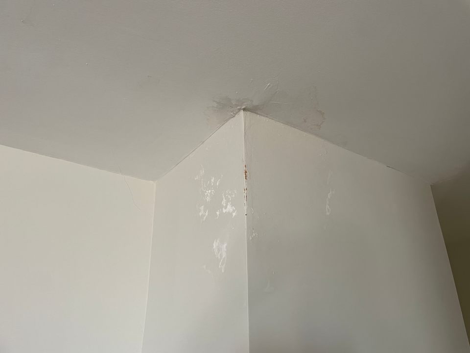 Zimmer Hotel Palmera Resort