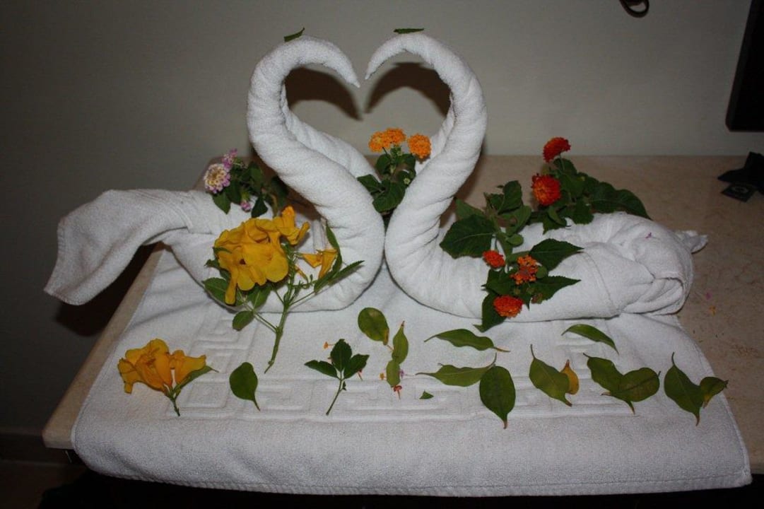 Klasse Pickalbatros Alf Leila Wa Leila Resort - Neverland Hurghada