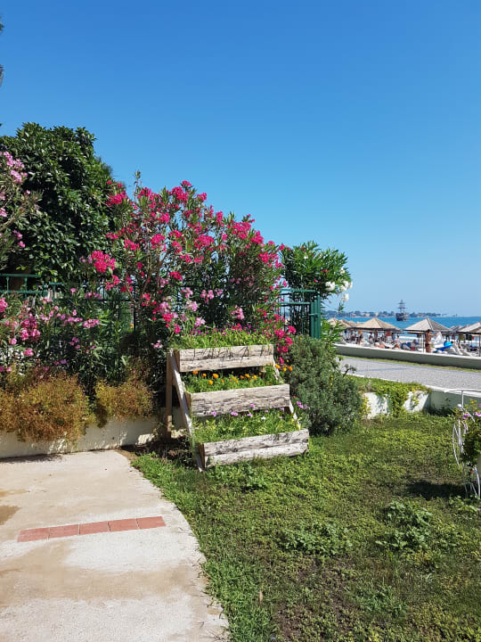 Strand Hotel Defne Star