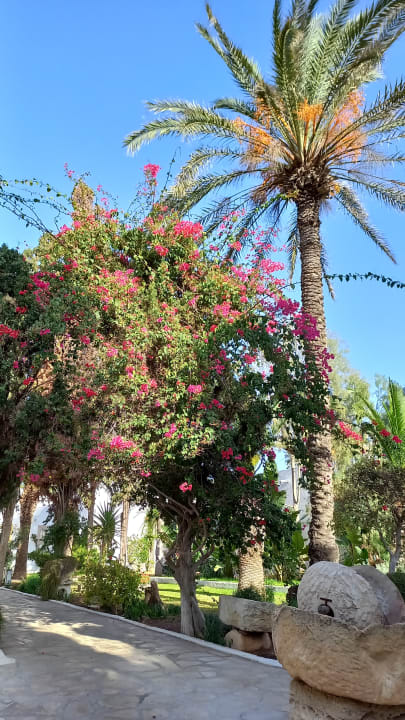 Gartenanlage The Orangers Beach Resort and Bungalows