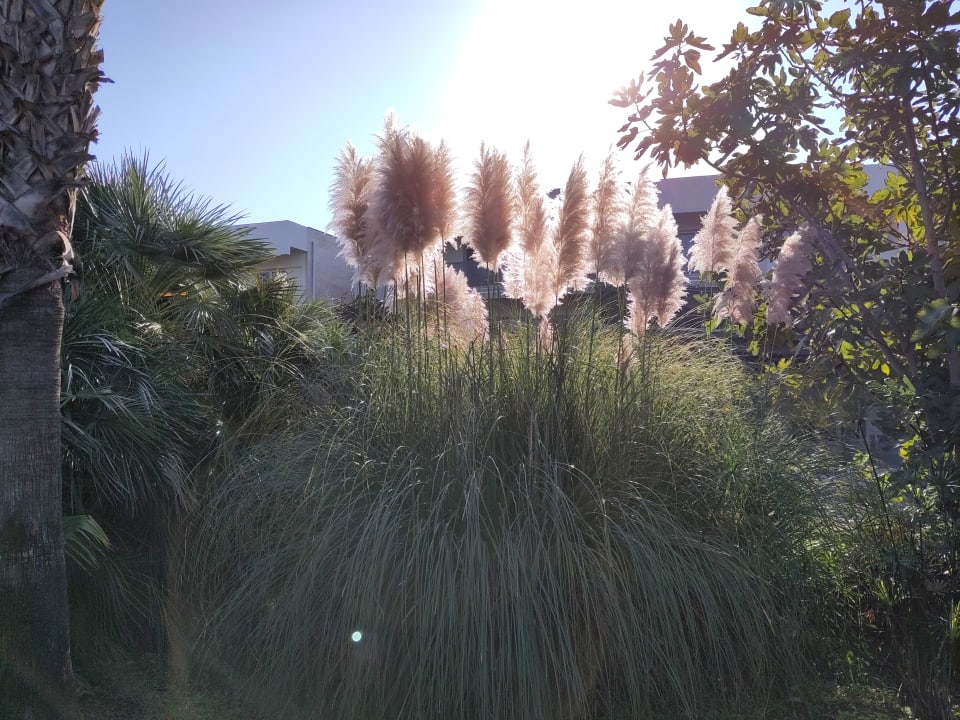 Gartenanlage Aqua Fantasy Aquapark Hotel & Spa