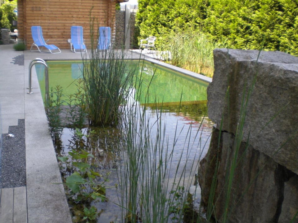 Kleiner Pool Sorell Hotel Sonnental