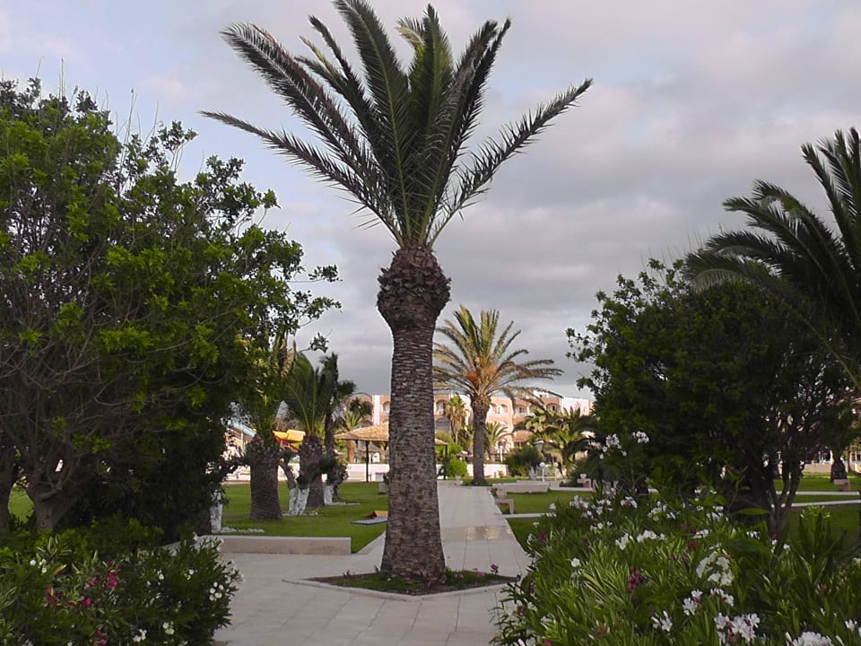 Улица AQI Venus Beach