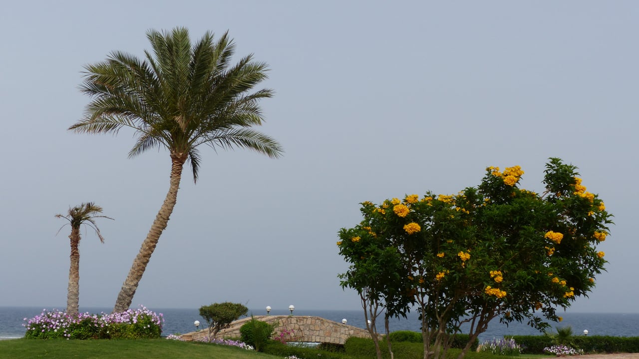 Gartenanlage Three Corners Equinox Beach Resort