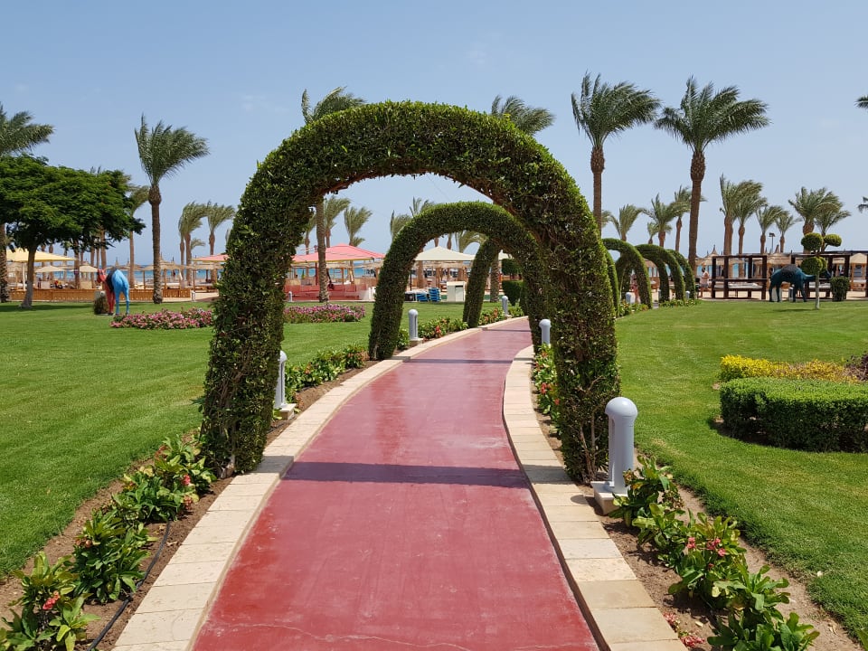 Gartenanlage Pickalbatros Palace Resort