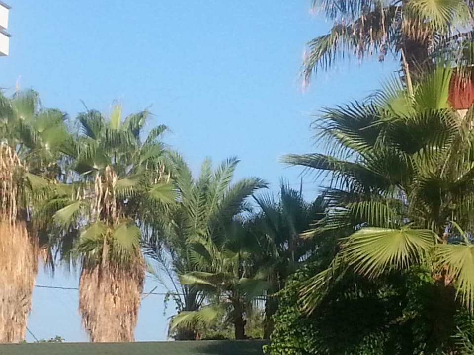 Paradies Blue Star Hotel