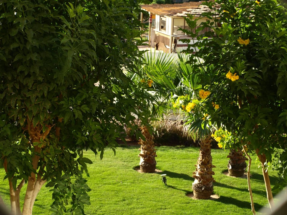 Garten Amwaj Beach Club Abu Soma Resort