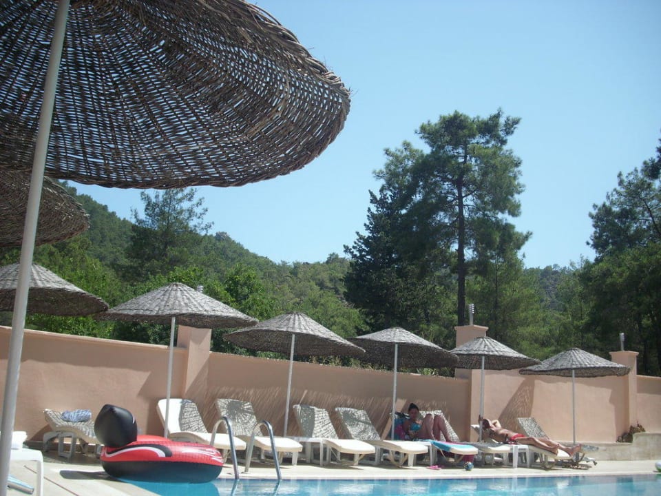 Wohlbehütet Hotel Forest Park