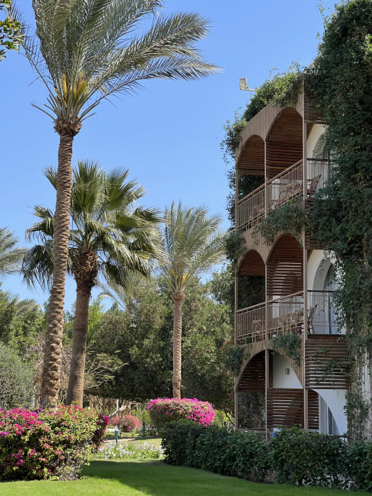 Gartenanlage Desert Rose