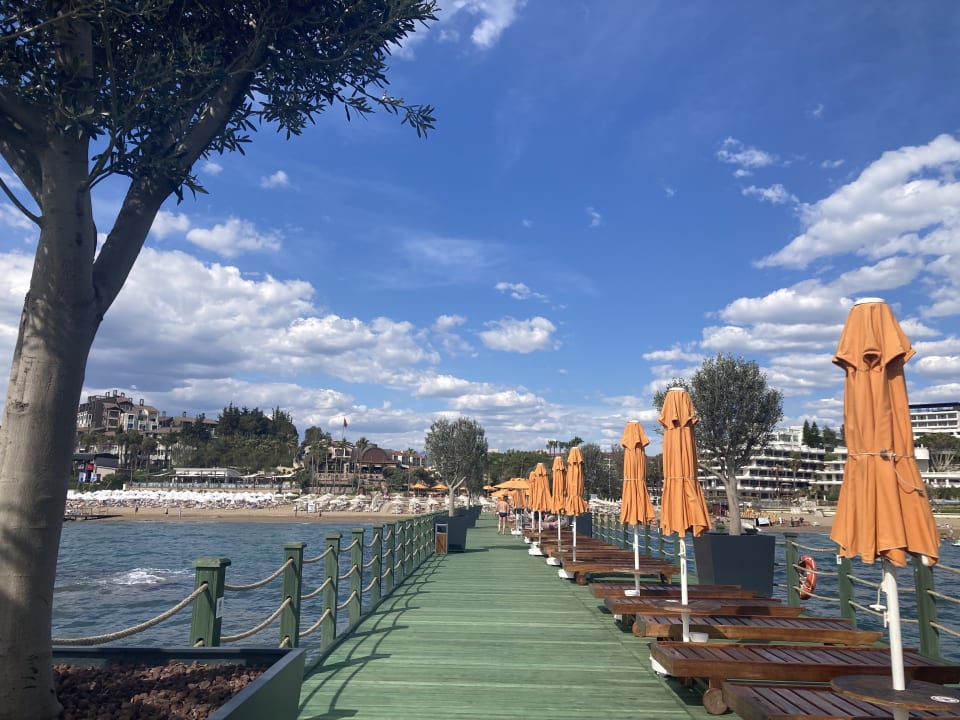 Strand Arum Barut Collection