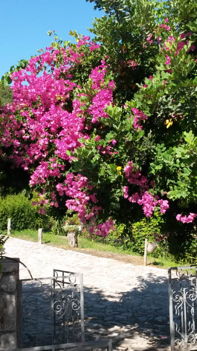 Gartenanlage Smyros Resort