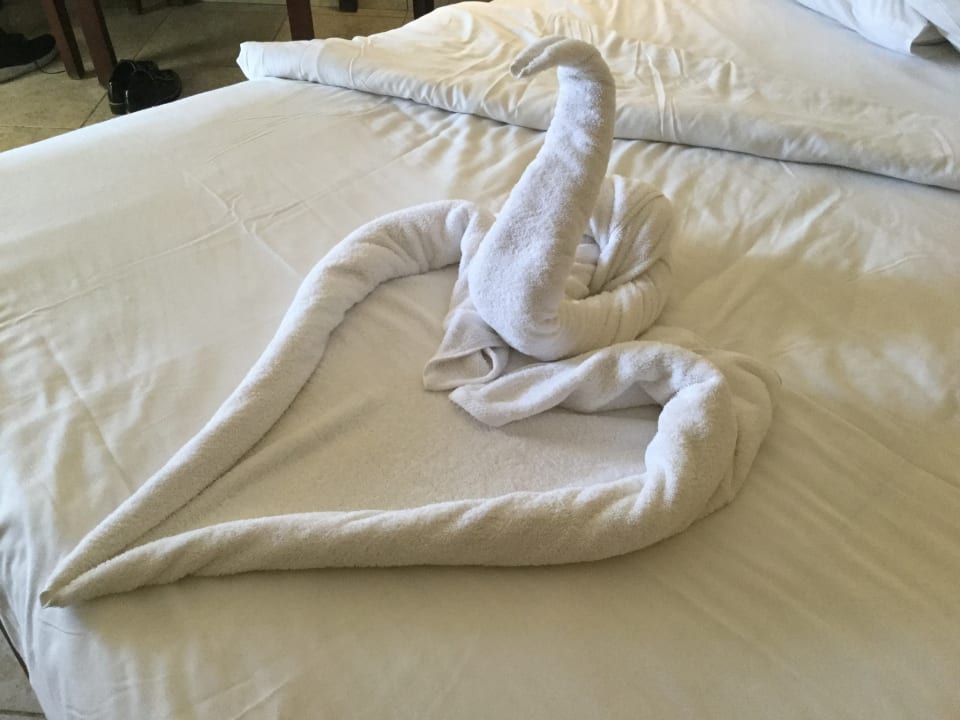 Zimmer Casa Mare Resort