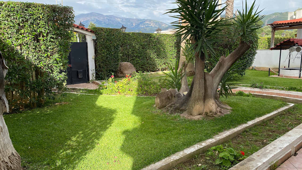 Gartenanlage Patras Palm Tree