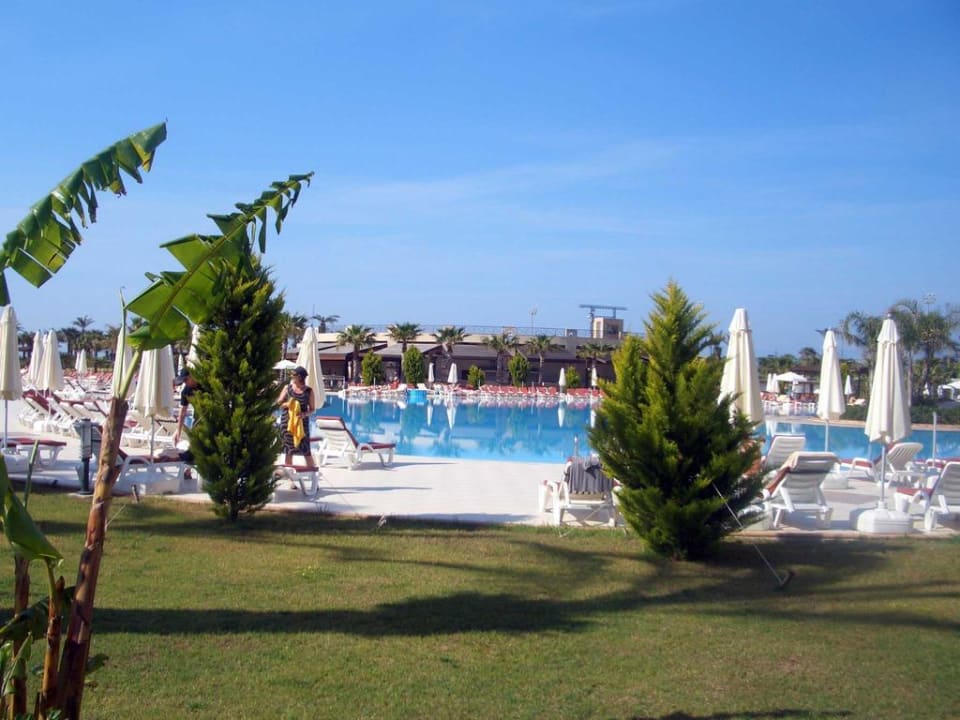 Gartenanlage Hotel Miracle Resort