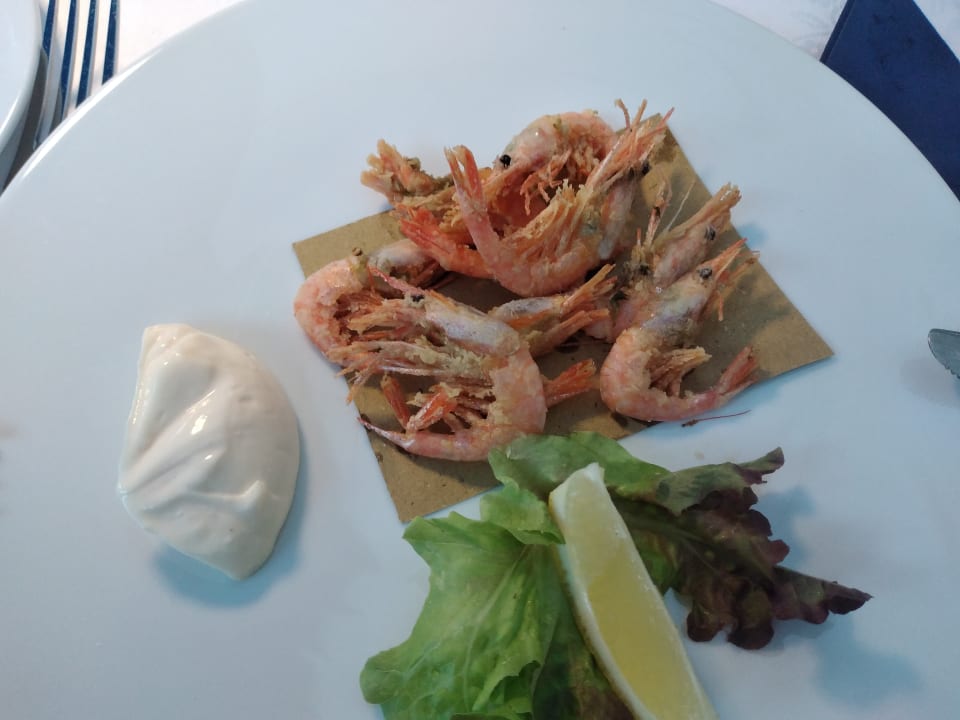 Gastro Hotel Medusa Splendid