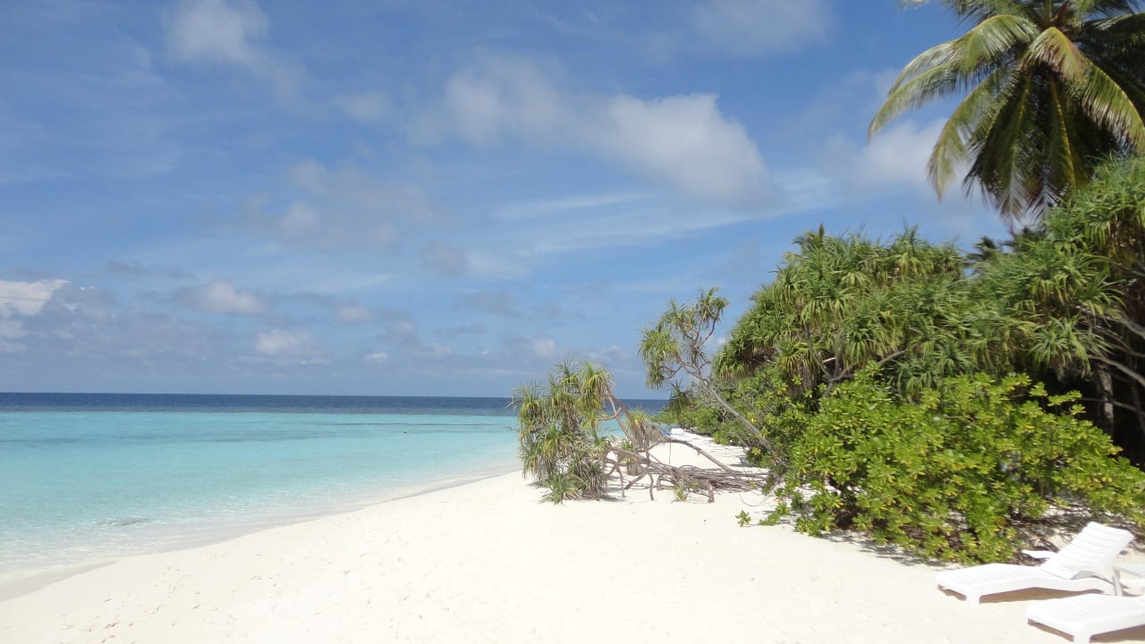 Hotel Angaga Island Resort Angaga Island Resort