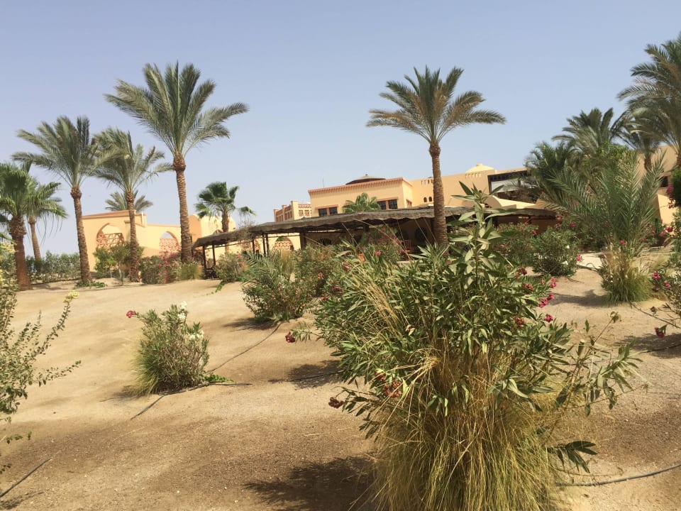 Strandbar  Steigenberger Coraya Beach - Adults only