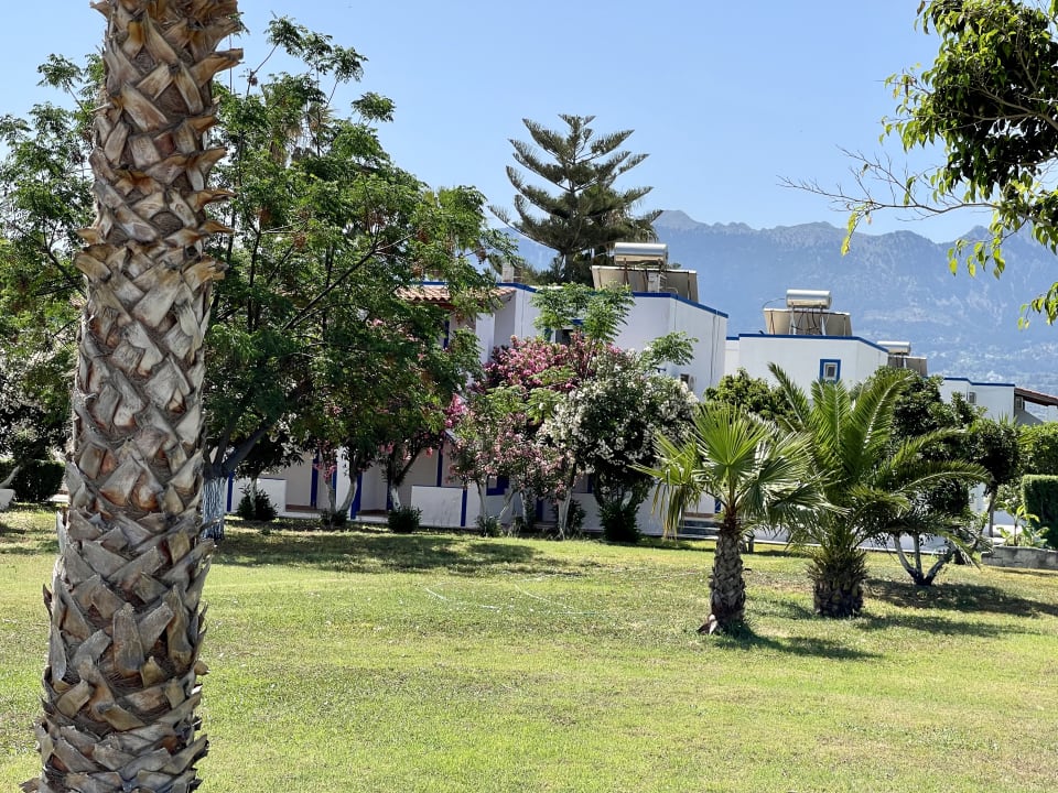 Gartenanlage Hotel Tigaki's Star