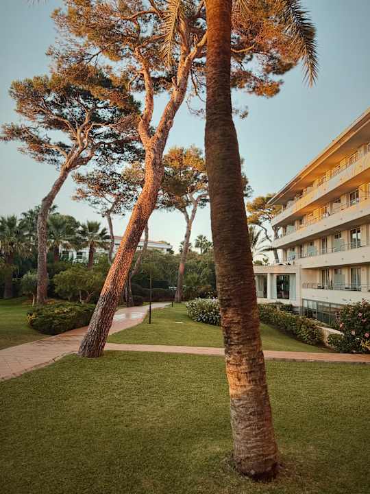 Gartenanlage Grupotel Natura Playa