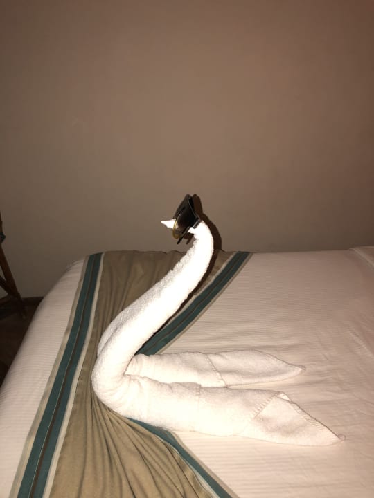 Zimmer Pickalbatros Citadel Resort