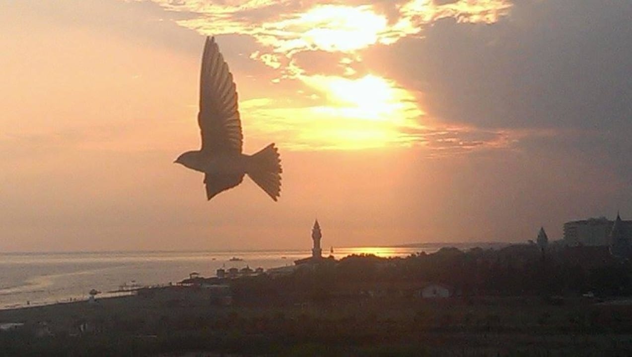 Schnappschuss vom Balkon  Seaden Sea World Resort & Spa