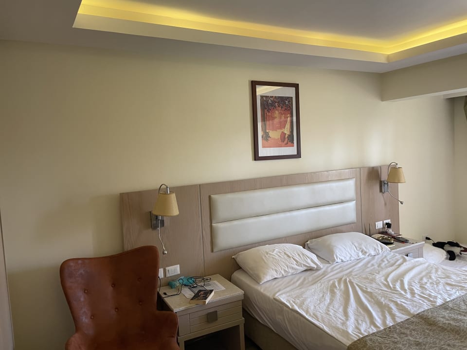 Zimmer Beach Albatros Resort