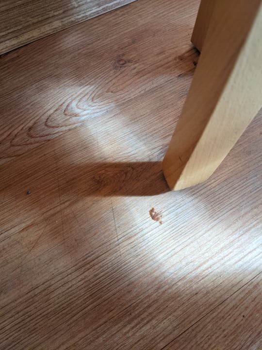 Zimmer Center Parcs Park Bostalsee