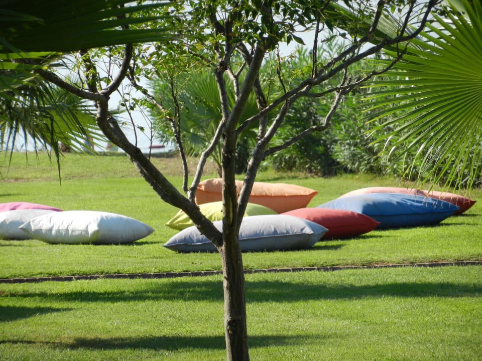 Xanadu  Xanadu Resort Hotel
