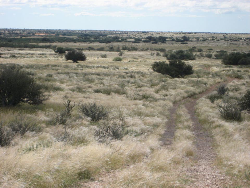 Wanderweg auf dem Lodgegelände Kalahari Anib Lodge