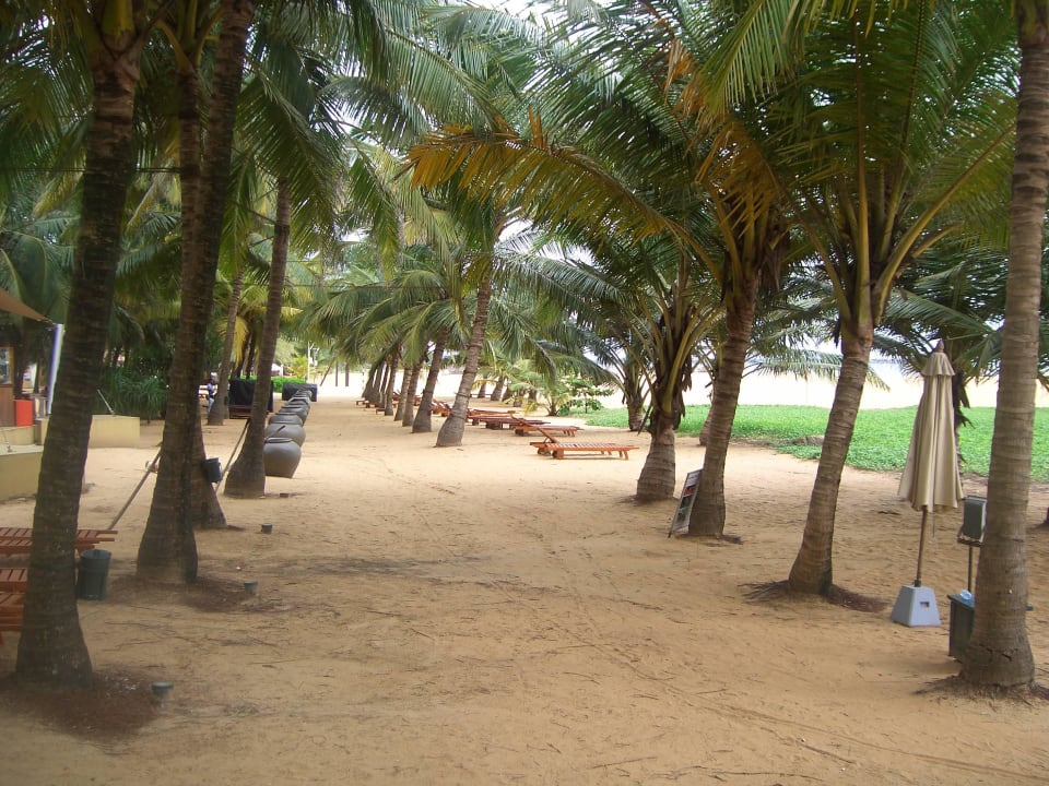 Strand.  Hotel Jetwing Beach