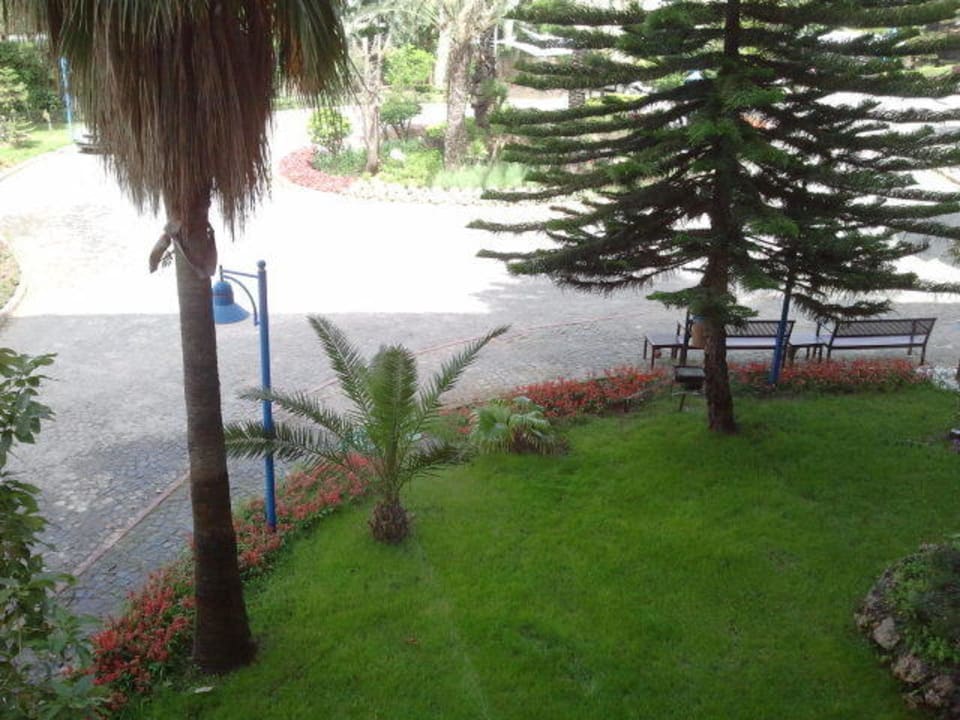 Net entree Grand Kaptan