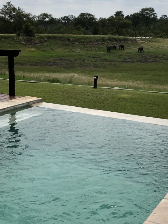 Pool Hotel Arathusa Safari Lodge