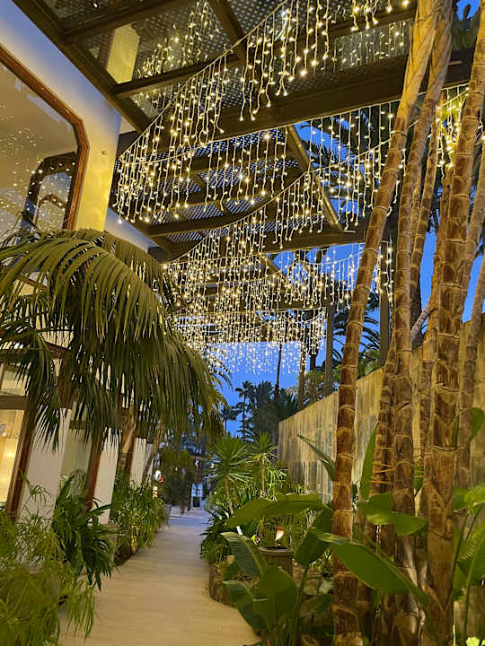 Außenansicht Corallium Beach by Lopesan Hotels - Adults only