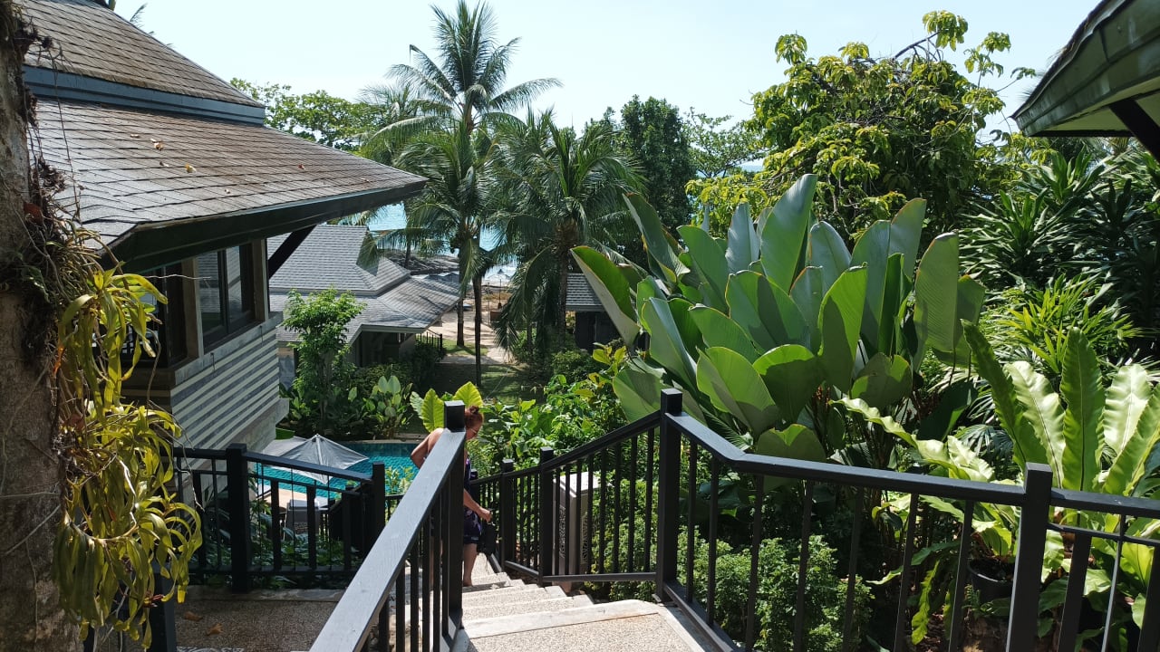 Gartenanlage Moracea by Khao Lak Resort