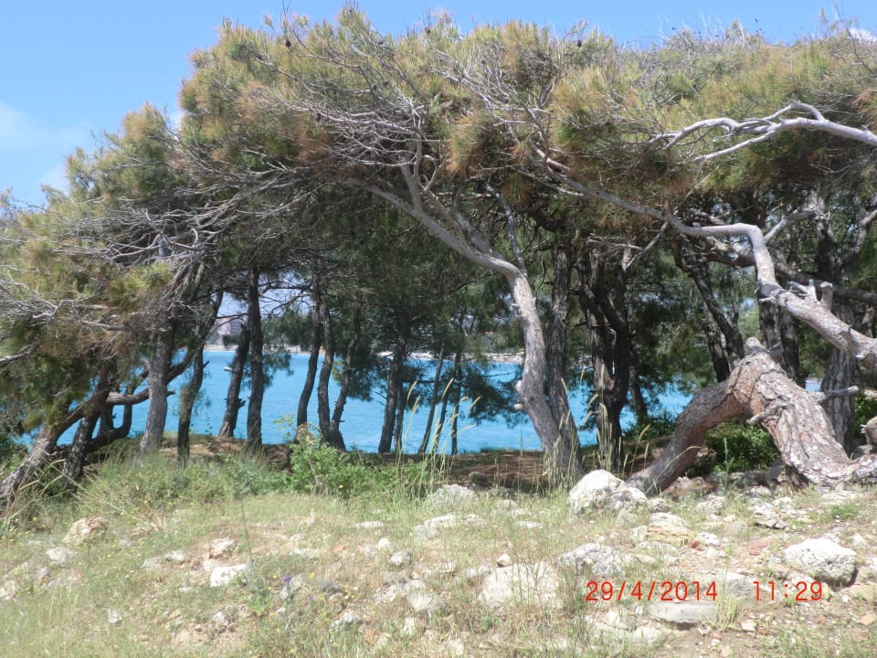 Arycande de Luxe  Arycanda Kirman Premium