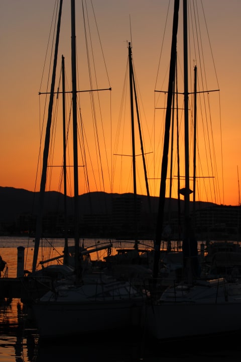 Port de plaisance à 200 m de l'hôtel Hotel Excelsior