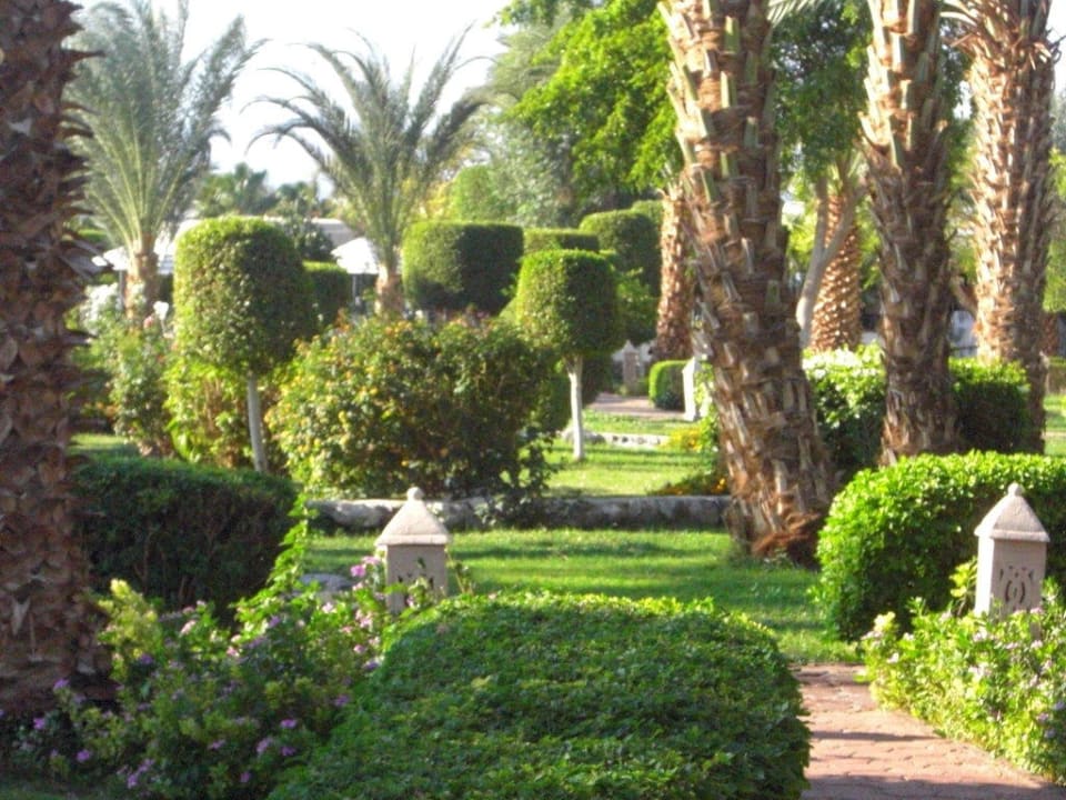 Im Garten von Lotus Bay Lotus Bay Beach Resort