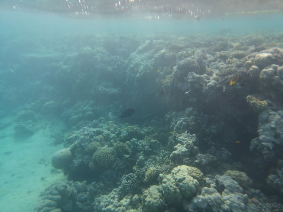 Sport & Freizeit Stella Beach Resort & Spa Makadi Bay