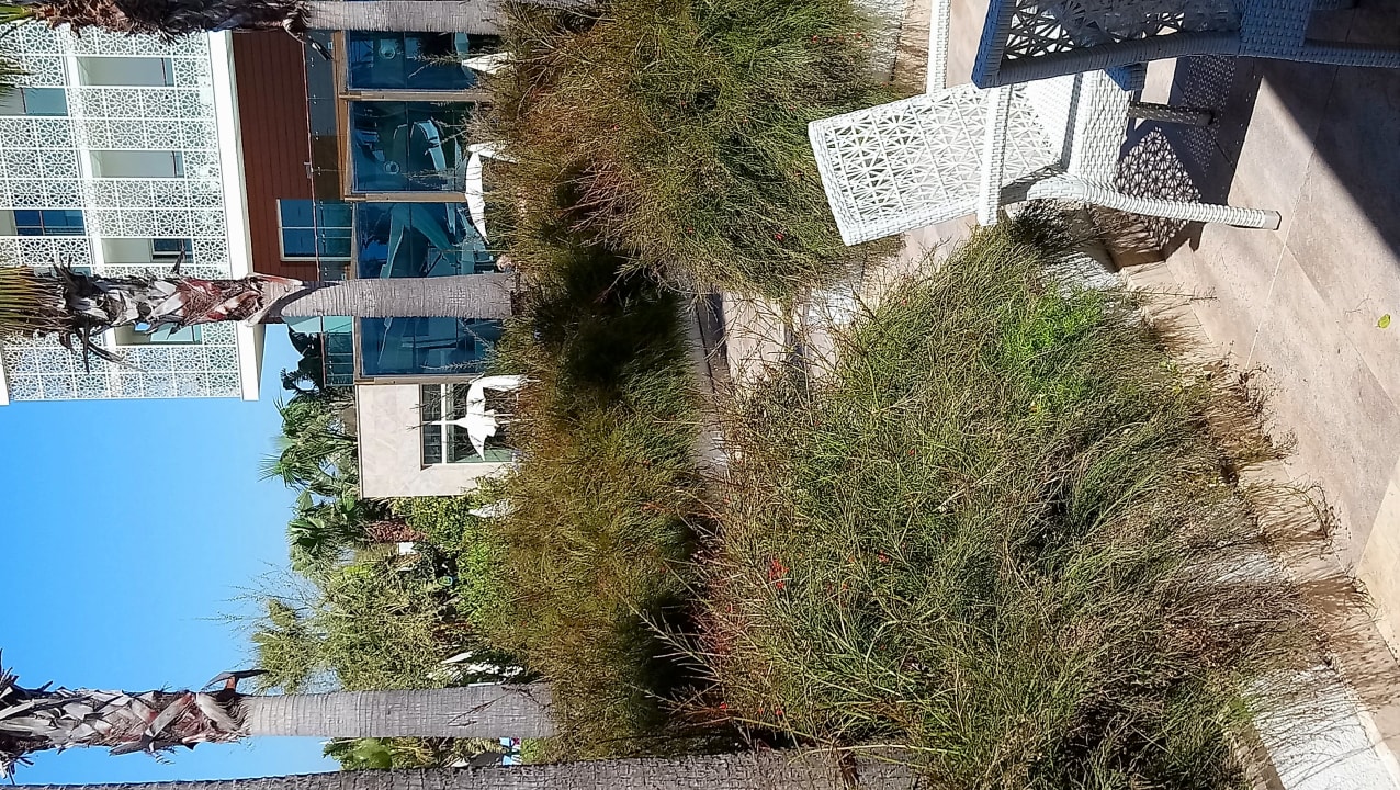 Außenansicht Sentido Trendy Verbena Beach