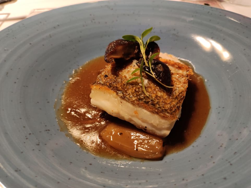 Gastro Hotel Riu Palace Palmeras