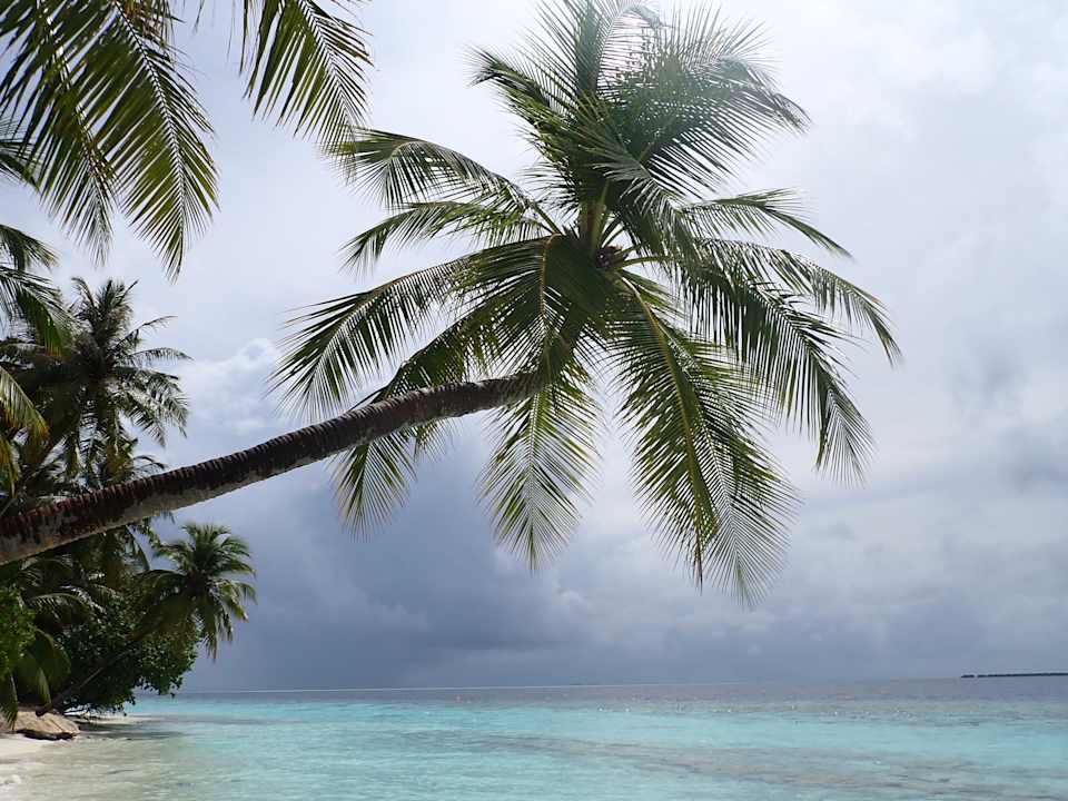 Strand Vilamendhoo Island Resort & Spa