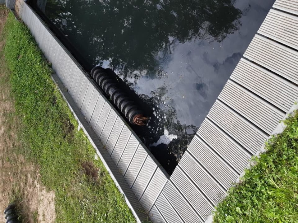 Gartenanlage Hotel Zur Wildbahn