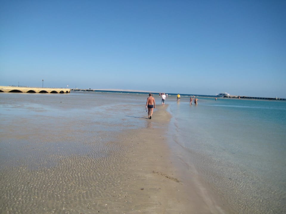 Bei Ebbe am Strand Pickalbatros Dana Beach Resort - Hurghada