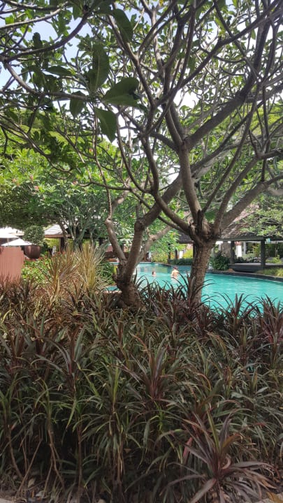 Pool Woodlands Hotel & Resort