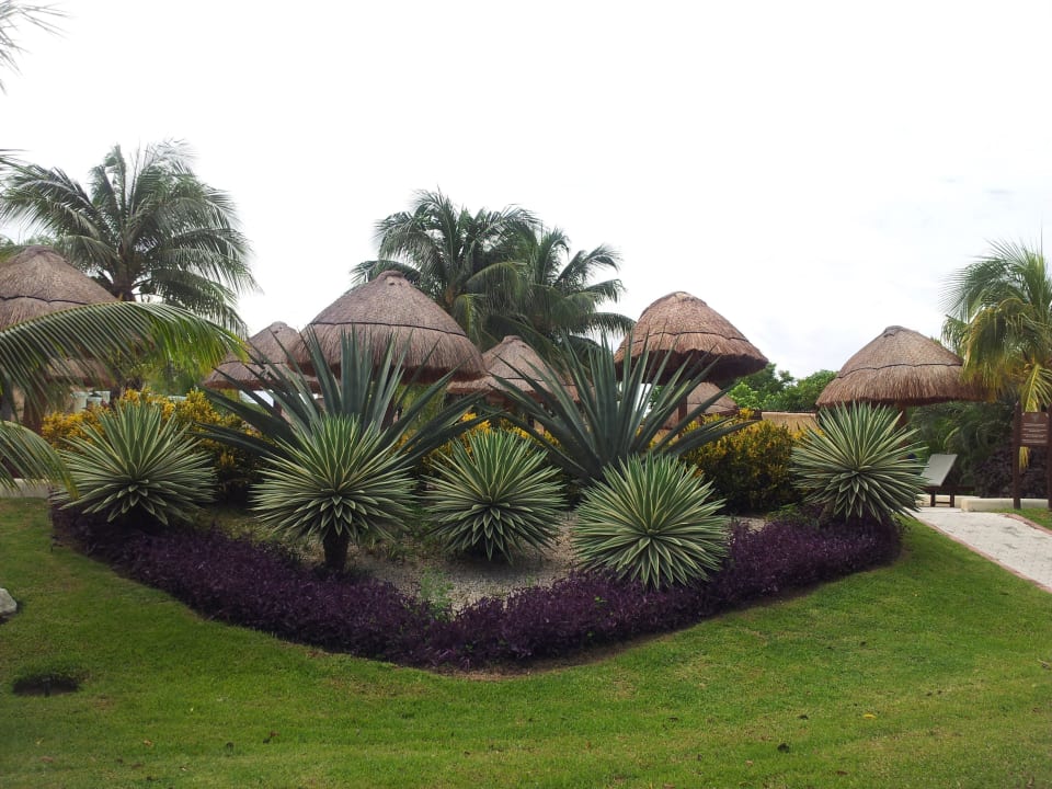 Garten im Royal Grand Palladium Kantenah Resort & Spa