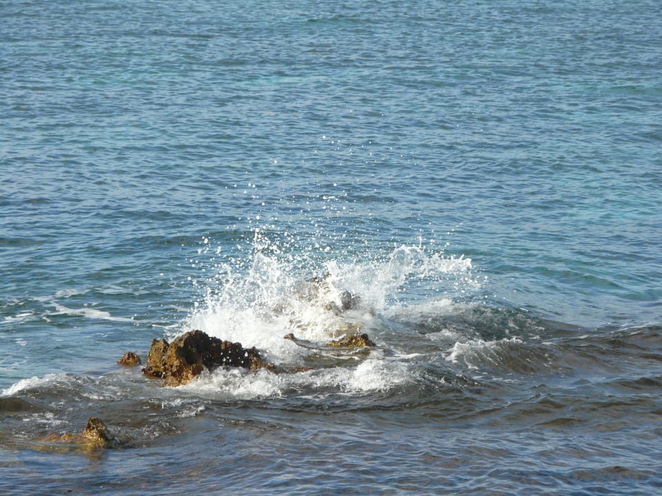 Ost-Strand von Sa Coma Hipotels Mediterraneo Club